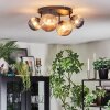 Chehalis ceiling light, globe light Amber, Smoke-coloured, 4-light sources