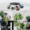 Chehalis ceiling light, globe light blue, chrome, green, coppery, Smoke-coloured, 4-light sources
