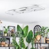 Danor ceiling light LED matt nickel, 1-light source