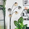 Ripoll globe light, floor lamp Amber, clear, Smoke-coloured, 5-light sources