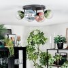 Chehalis ceiling light, globe light blue, green, clear, coppery, 4-light sources