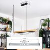 Inzino hanging light, pendant light LED black, 1-light source
