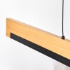 Inzino hanging light, pendant light LED black, 1-light source