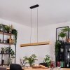 Inzino hanging light, pendant light LED black, 1-light source