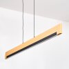 Inzino hanging light, pendant light LED black, 1-light source
