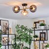 Koyoto ceiling light, globe light gold, black, 3-light sources