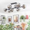 Ripoll ceiling light, globe light chrome, clear, Smoke-coloured, 8-light sources