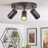 Foren ceiling light, ceiling spotlight LED black, 3-light sources, Colour changer
