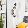 Koyoto globe light, floor lamp clear, Smoke-coloured, 5-light sources
