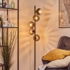 Koyoto globe light, floor lamp clear, Smoke-coloured, 5-light sources