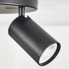 Foren ceiling light, ceiling spotlight LED black, 3-light sources, Colour changer