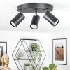 Foren ceiling light, ceiling spotlight LED black, 3-light sources, Colour changer