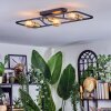 Moral ceiling light brass, black, 3-light sources