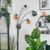 Ripoll globe light, floor lamp Amber, clear, Smoke-coloured, 5-light sources