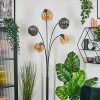 Ripoll globe light, floor lamp Amber, Smoke-coloured, 5-light sources