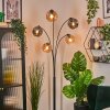 Ripoll globe light, floor lamp Amber, Smoke-coloured, 5-light sources