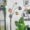 Ripoll globe light, floor lamp Amber, clear, Smoke-coloured, 5-light sources