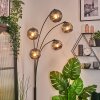 Ripoll globe light, floor lamp Smoke-coloured, 5-light sources