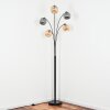 Ripoll globe light, floor lamp Amber, Smoke-coloured, 5-light sources