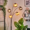 Ripoll globe light, floor lamp Amber, Smoke-coloured, 5-light sources