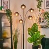Koyoto globe light, floor lamp clear, Smoke-coloured, 5-light sources