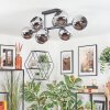 Koyoto ceiling light, globe light chrome, Smoke-coloured, 8-light sources