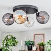 Koyoto ceiling light, globe light Amber, clear, Smoke-coloured, 4-light sources