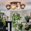 Koyoto ceiling light, globe light Amber, clear, Smoke-coloured, 4-light sources
