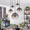 Koyoto hanging light, globe light, pendant light clear, Smoke-coloured, 5-light sources
