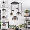 Koyoto hanging light, globe light, pendant light clear, Smoke-coloured, 5-light sources