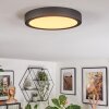 Finsrud bathroom light, ceiling light, Panel LED black, 1-light source