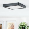 Finsrud bathroom light, ceiling light, Panel LED black, 1-light source