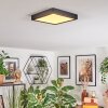Finsrud bathroom light, ceiling light, Panel LED black, 1-light source