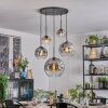 Ripoll hanging light, globe light, pendant light clear, Smoke-coloured, 5-light sources