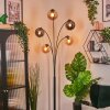 Gastor globe light, floor lamp Amber, Smoke-coloured, 5-light sources