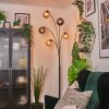 Gastor globe light, floor lamp Amber, Smoke-coloured, 5-light sources