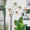 Ripoll globe light, floor lamp Amber, clear, 5-light sources