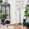 Ripoll globe light, floor lamp Amber, clear, 5-light sources