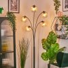 Ripoll globe light, floor lamp Amber, clear, 5-light sources