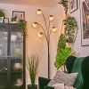 Ripoll globe light, floor lamp Amber, clear, 5-light sources