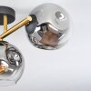 Ripoll ceiling light, globe light gold, black, 3-light sources