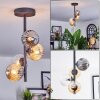 Chehalis ceiling light, globe light Amber, clear, Smoke-coloured, 4-light sources