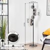 Koyoto globe light, floor lamp clear, Smoke-coloured, 6-light sources