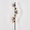 Koyoto globe light, floor lamp Amber, clear, Smoke-coloured, 6-light sources