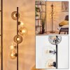 Koyoto globe light, floor lamp Amber, clear, Smoke-coloured, 6-light sources