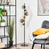Koyoto globe light, floor lamp Amber, Smoke-coloured, 6-light sources
