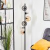 Koyoto globe light, floor lamp Amber, clear, Smoke-coloured, 6-light sources