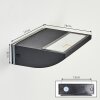 Damor outdoor wall light, wall light LED black, 1-light source