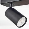 Foren ceiling light, ceiling spotlight LED black, 4-light sources, Colour changer