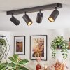 Foren ceiling light, ceiling spotlight LED black, 4-light sources, Colour changer
